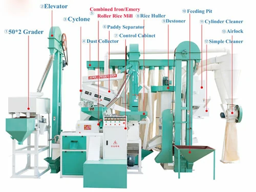 Combined rice mill plant